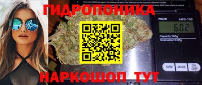 прущие грибы Волгодонск