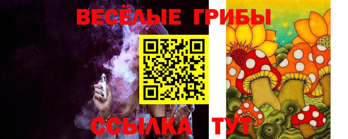 Полысаево  Псилоцибиновые грибы Cubensis  Вход с VPN 